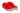 Mesh Edition Kids - Red